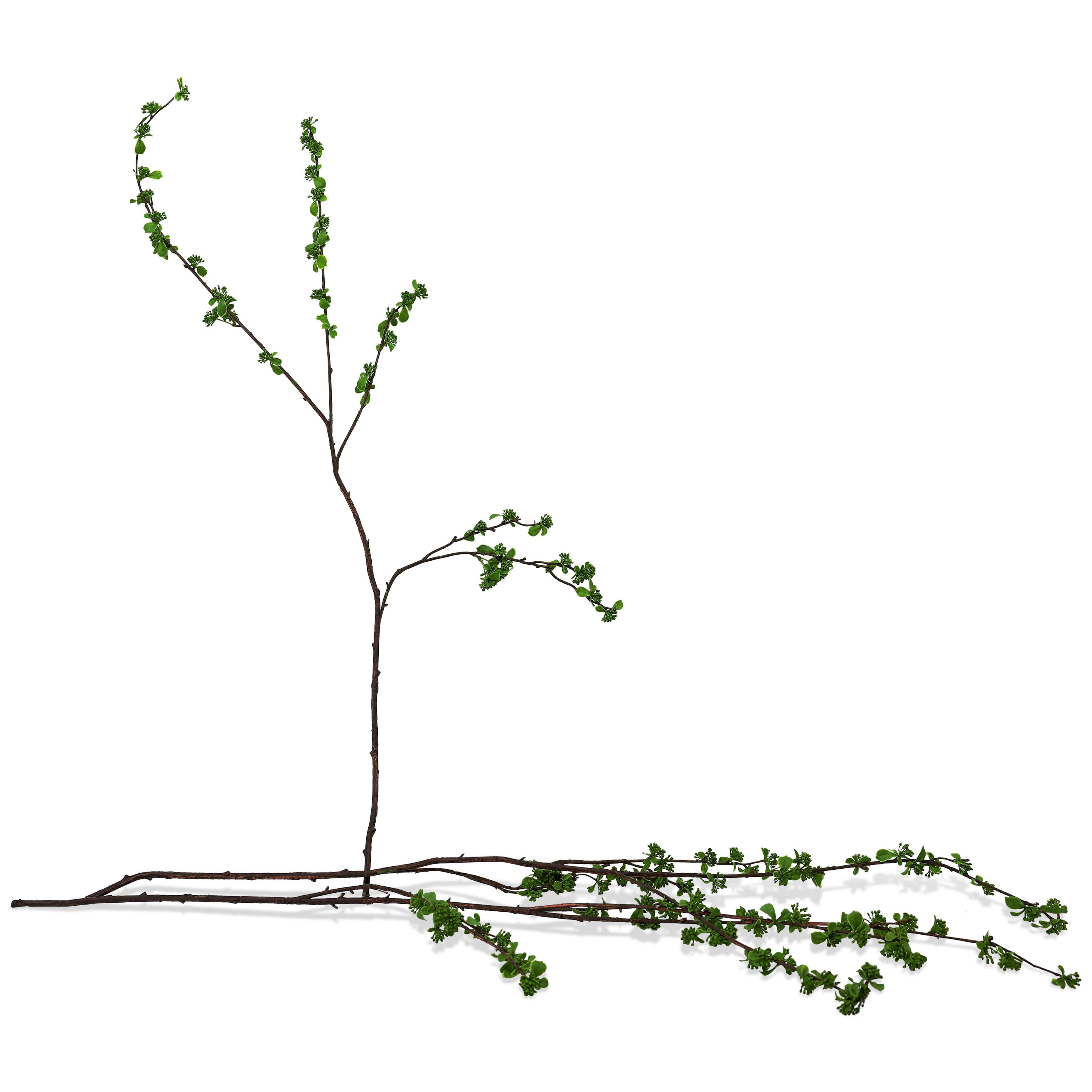 40" Faux Green Budding Branches (Set of 3)