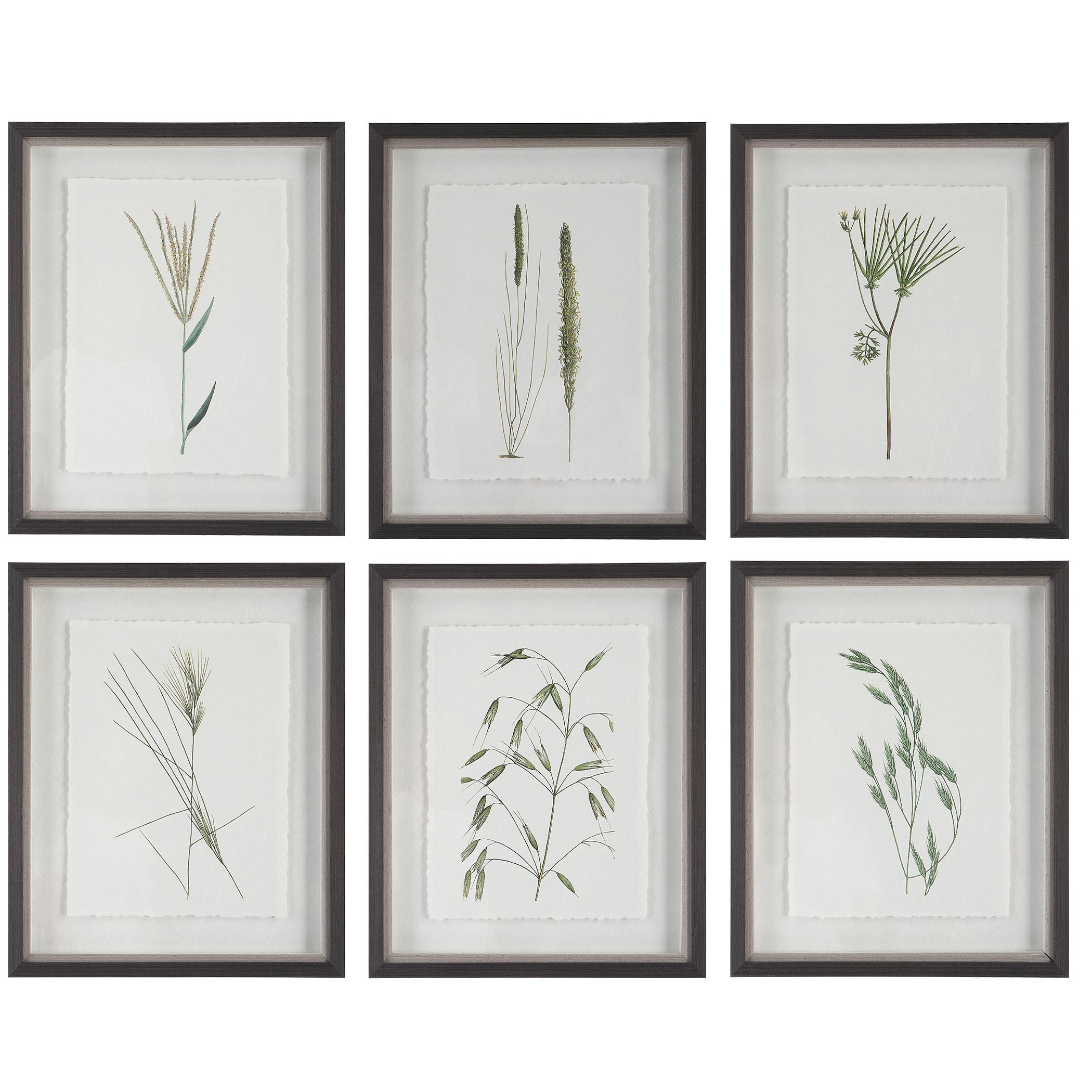 Forest Finds Framed Prints