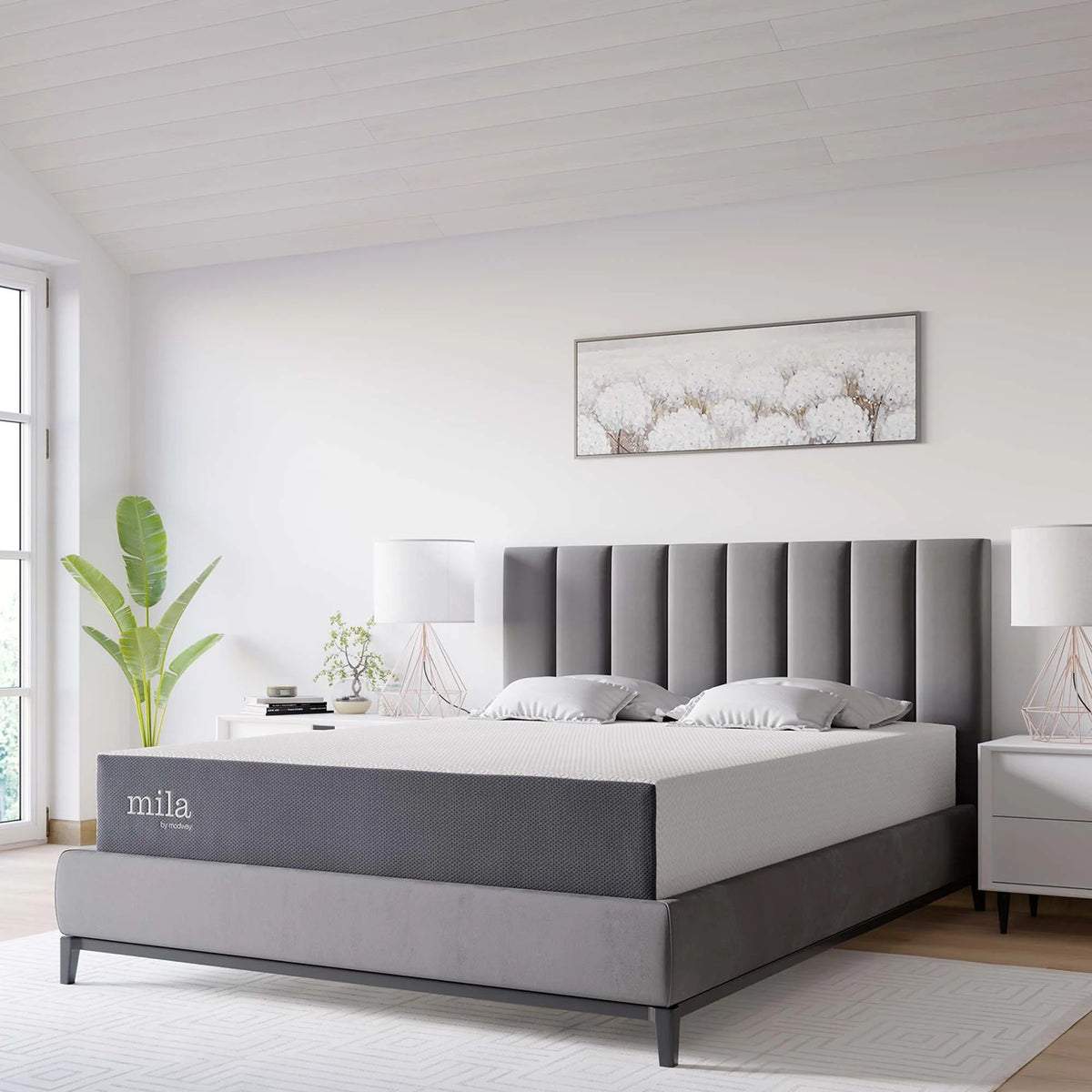 Mila 10" Mattress